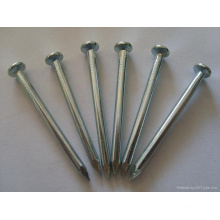 Concrete nail/Galvanized steel nails